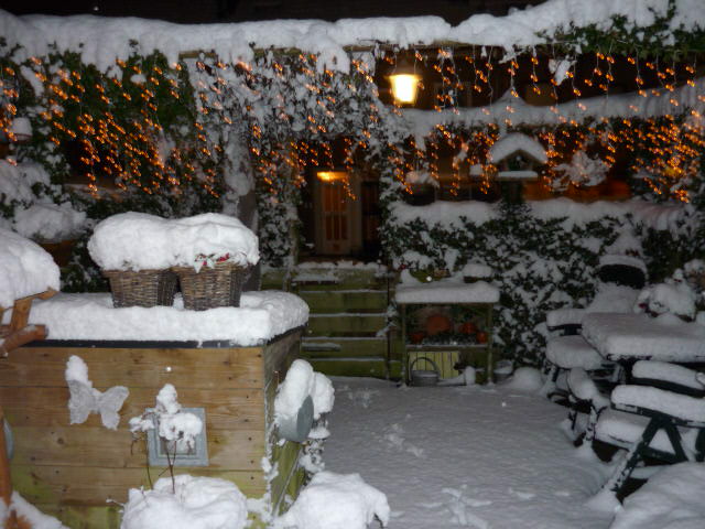 tuin achter 025.JPG